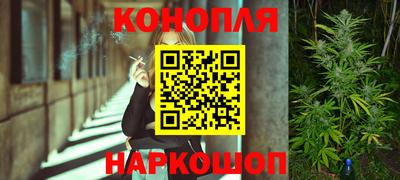 индика Апшеронск