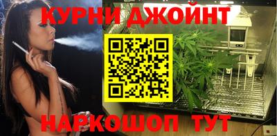 индика Апшеронск