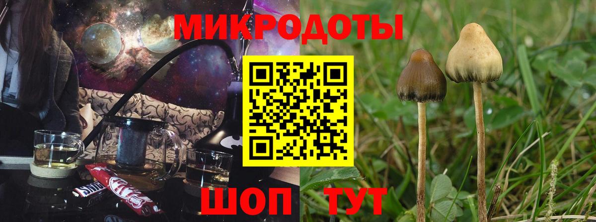 Псилоцибиновые грибы мухоморы  Вход с VPN  Галлюциногенные грибы прущие грибы  Белореченск 