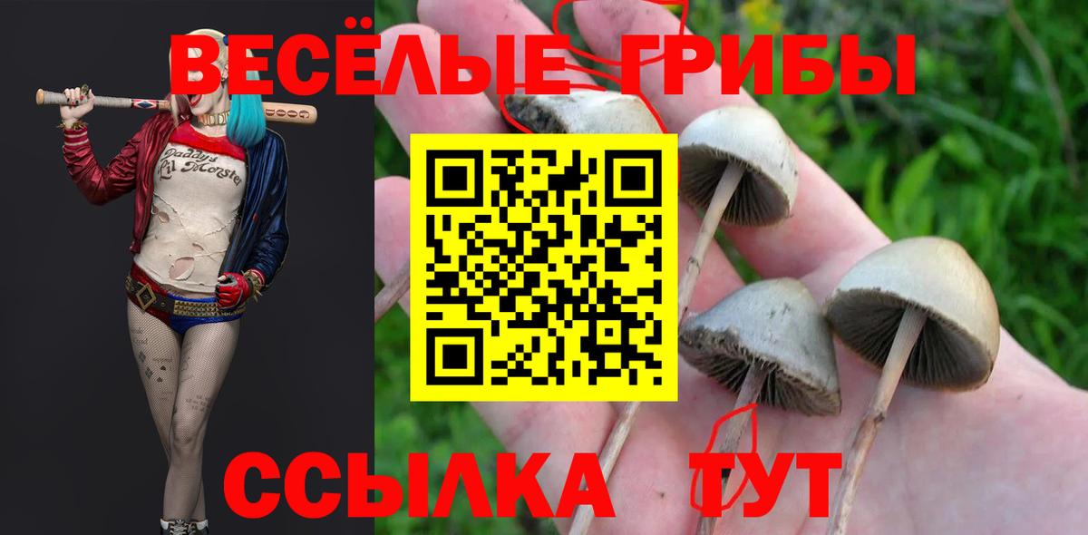 Галлюциногенные грибы мицелий Белореченск
